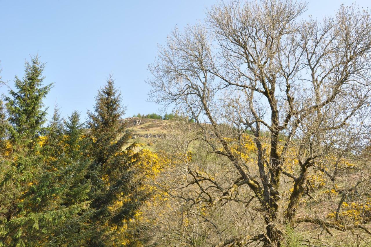 Sheep Fank Cottage Oban Zewnętrze zdjęcie